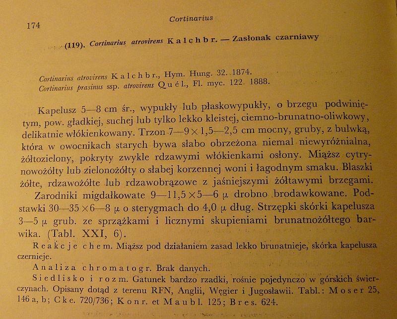 Cortinarius atrovirens