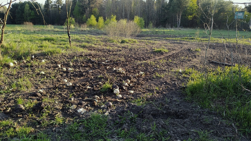 Widok z maja br.