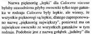 Piknorg najwikszy - Calocera viscosa, Checklist - Wojewoda W. - 2003 r.