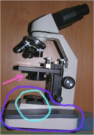 mikroskop Bino