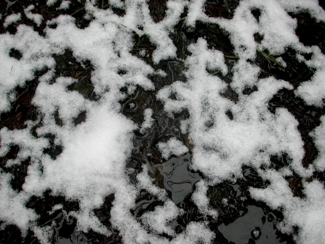 Obraz zimy 1